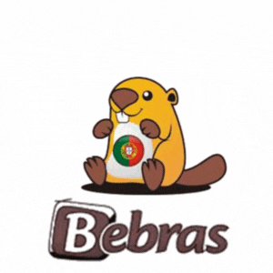 Bebras_2025